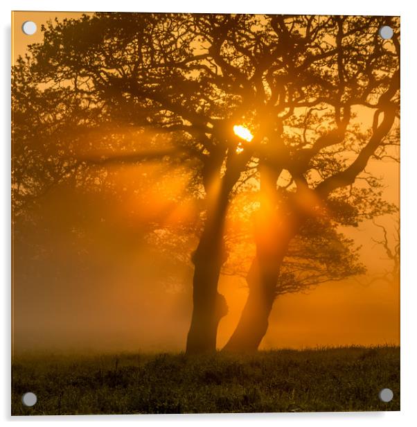 Brecon Beacons, Wales stunning misty sunrise Acrylic by Jonathan Smith