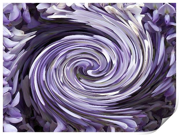 Wisteria Swirl Print by Donna Collett