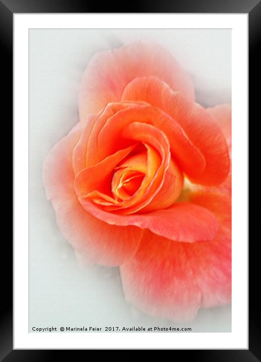 pastel pink shades Framed Mounted Print by Marinela Feier