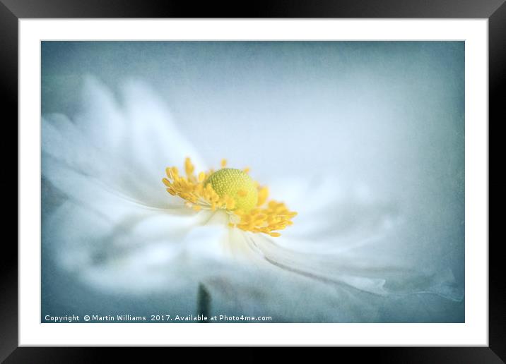 Japanese Anemone Framed Mounted Print by Martin Williams