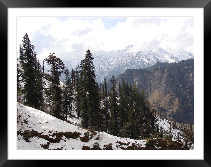 The Snowy View!!! Framed Mounted Print by Ankit Mahindroo
