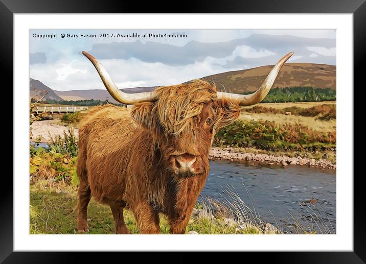 Highland cow cartoon Framed Mounted Print by Gary Eason