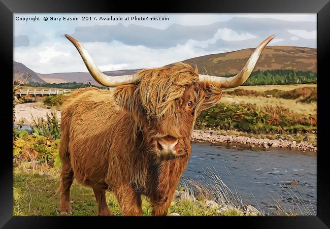 Highland cow cartoon Framed Print by Gary Eason