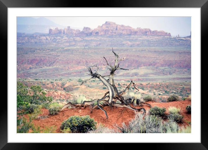Arches National Park Framed Mounted Print by Luc Novovitch