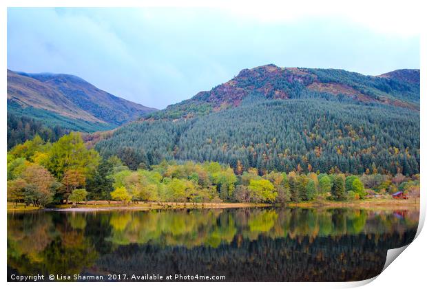 Banks of Loch Lubnaig in Scotland Print by  