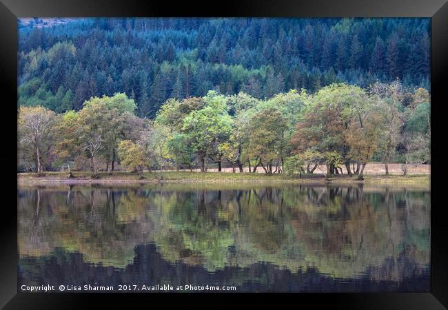 Banks of Loch Lubnaig in Scotland Framed Print by  