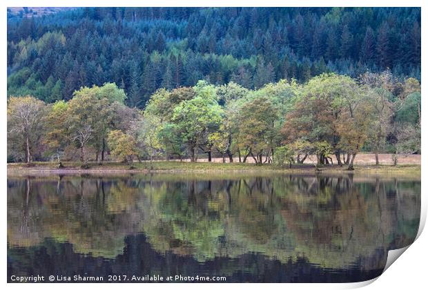 Banks of Loch Lubnaig in Scotland Print by  
