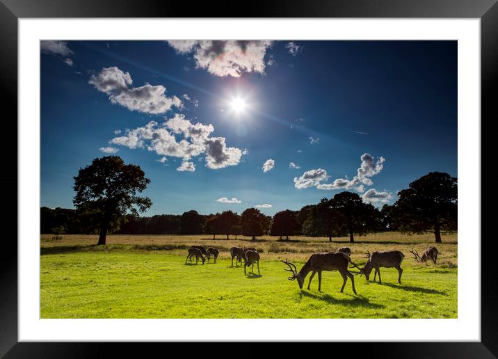 When The Sun's Over The Yard Framed Mounted Print by Jennifer Higgs