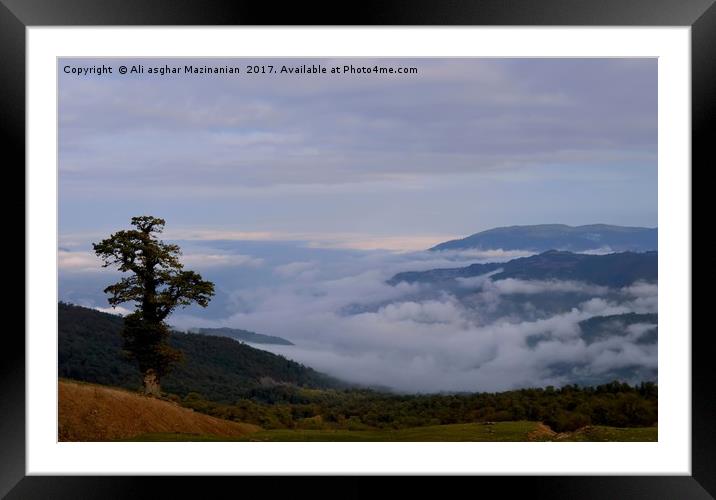 A lone tree and dense fogs, Framed Mounted Print by Ali asghar Mazinanian