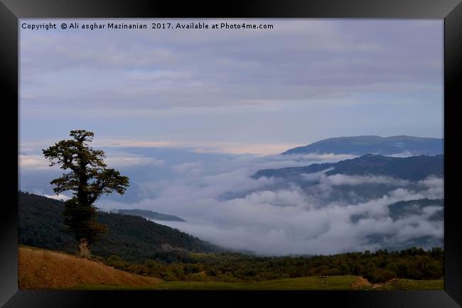 A lone tree and dense fogs, Framed Print by Ali asghar Mazinanian