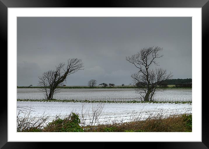 Winter Snow north Norfolk Framed Mounted Print by David French