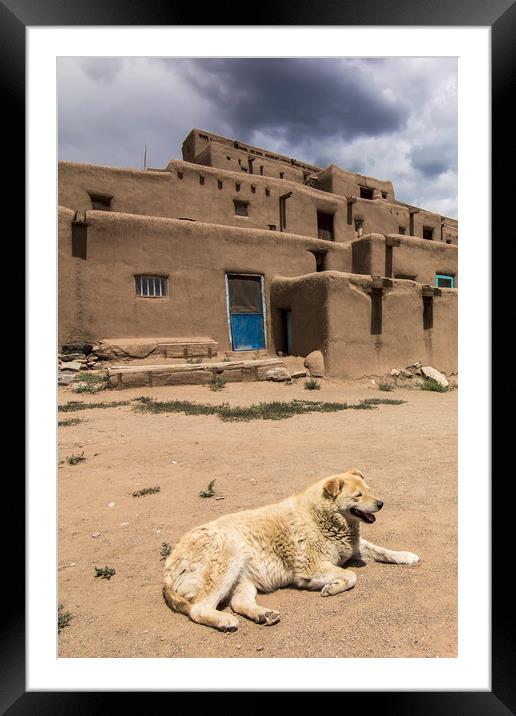 Dog in Taos Pueblo, New Mexico Framed Mounted Print by Luc Novovitch
