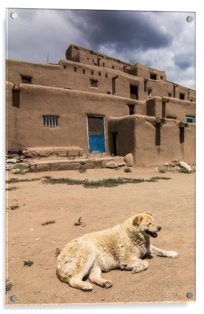 Dog in Taos Pueblo, New Mexico Acrylic by Luc Novovitch