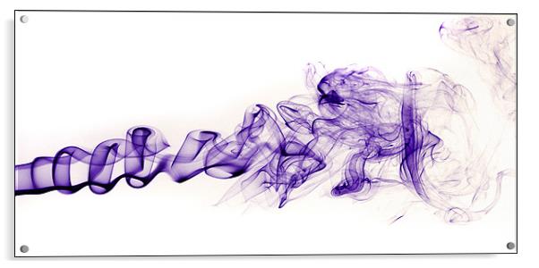 Purple Haze Acrylic by Mike Sherman Photog