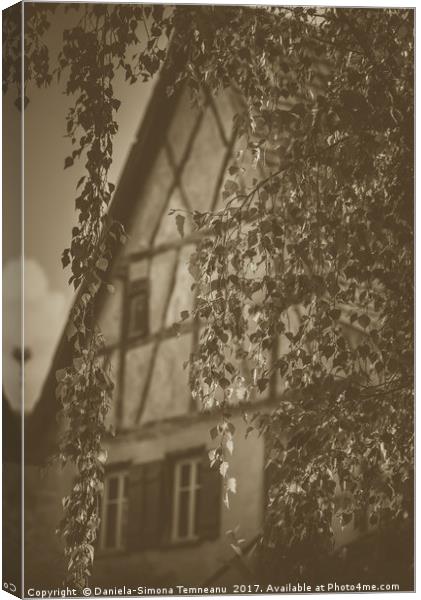 Birch leaves with house in background Canvas Print by Daniela Simona Temneanu