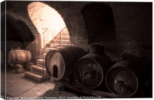 Old wine cellar with wooden barrels and stone stai Canvas Print by Daniela Simona Temneanu