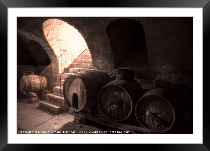 Old wine cellar with wooden barrels and stone stai Framed Mounted Print by Daniela Simona Temneanu