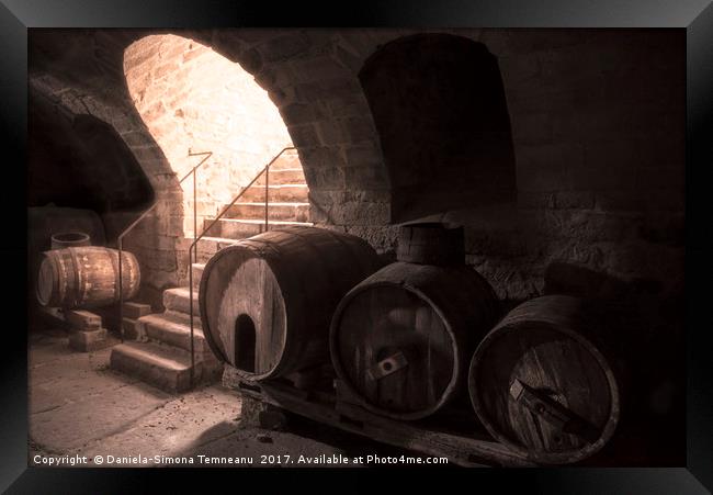 Old wine cellar with wooden barrels and stone stai Framed Print by Daniela Simona Temneanu