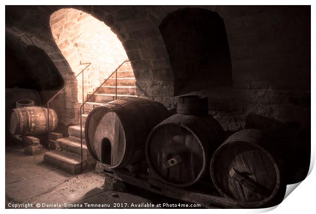 Old wine cellar with wooden barrels and stone stai Print by Daniela Simona Temneanu