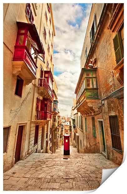 Maltese Street Print by Jim kernan