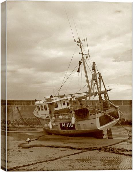 Fishing Boat .Newquay Harbour. Canvas Print by paulette hurley