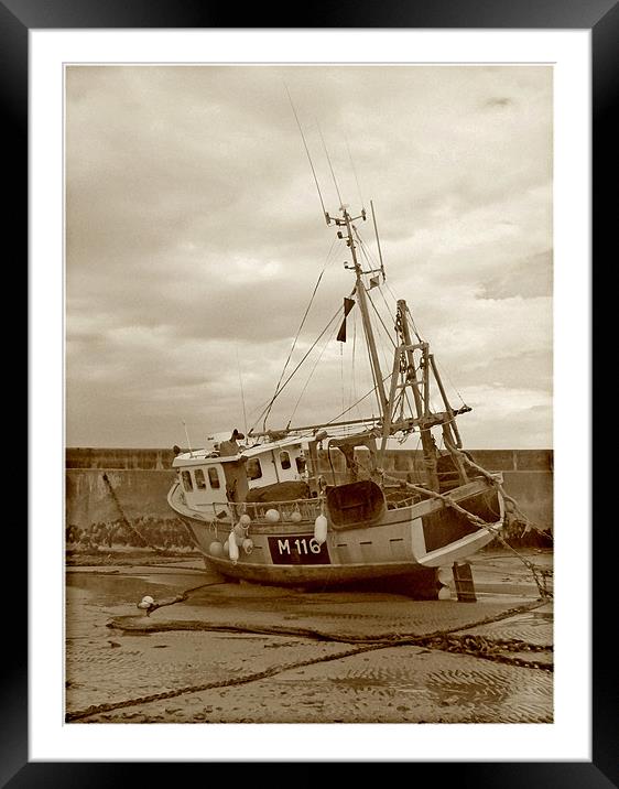 Fishing Boat .Newquay Harbour. Framed Mounted Print by paulette hurley