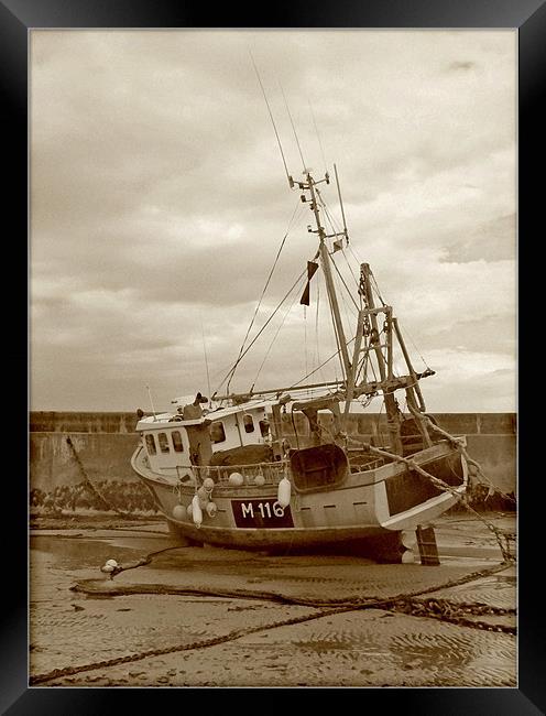 Fishing Boat .Newquay Harbour. Framed Print by paulette hurley