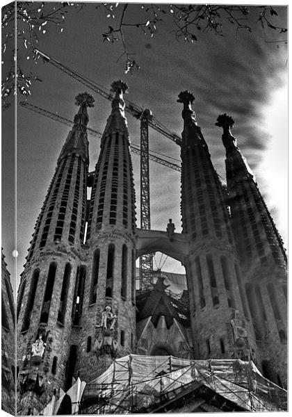 Sagrada Familia Canvas Print by sam short