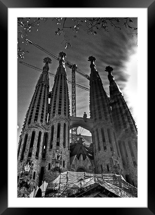 Sagrada Familia Framed Mounted Print by sam short