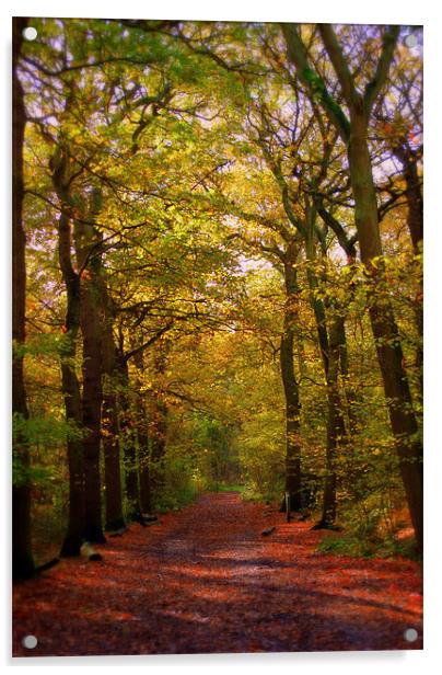 Autumn Pathway Acrylic by Karen Martin