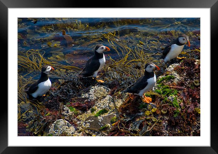 Landing Party Framed Mounted Print by Mark Robson