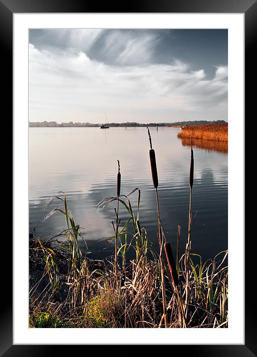 Bullrushes over Hickling Broad Framed Mounted Print by Stephen Mole