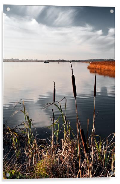 Bullrushes over Hickling Broad Acrylic by Stephen Mole