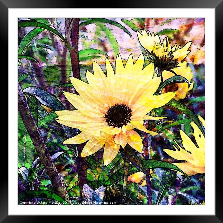 Magical Garden Framed Mounted Print by Jane Metters