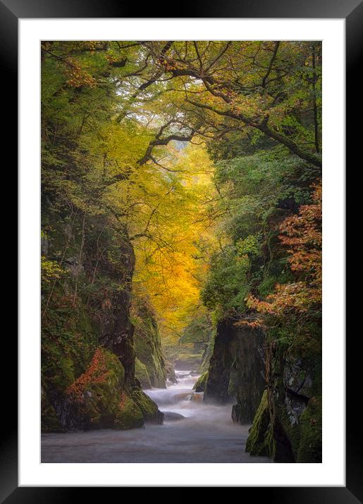 The Fairy Glen Framed Mounted Print by Paul Andrews