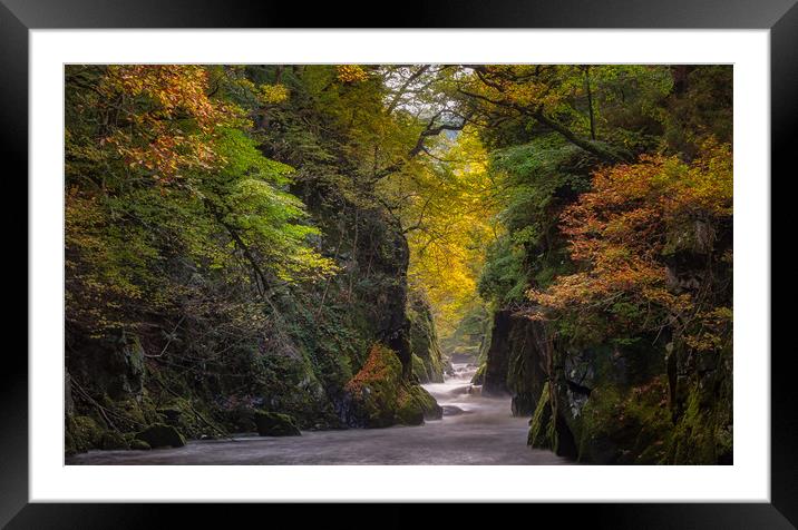 The Fairy Glen 2 Framed Mounted Print by Paul Andrews