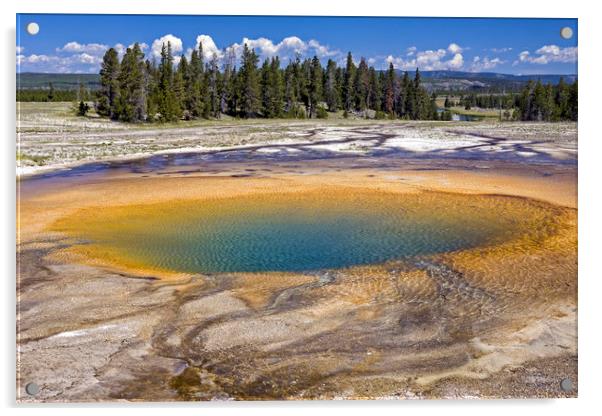 Yellowstone Geyser Basin Acrylic by Luc Novovitch