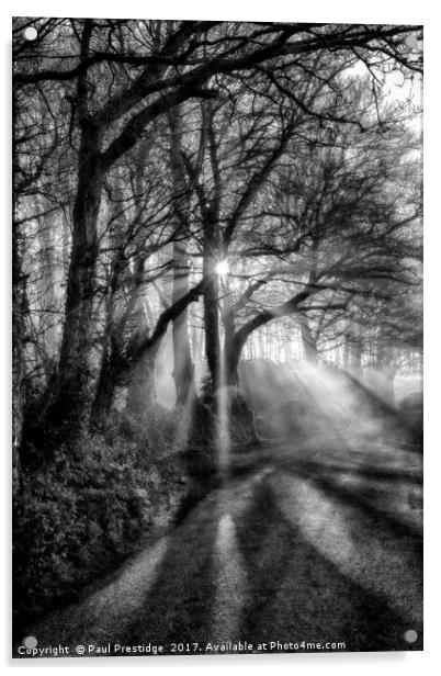 Shafts of Light in a Devon Lane Acrylic by Paul F Prestidge