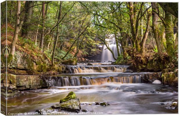 Summerhill Force in Teesdale Canvas Print by AMANDA AINSLEY