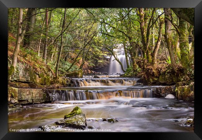 Summerhill Force in Teesdale Framed Print by AMANDA AINSLEY