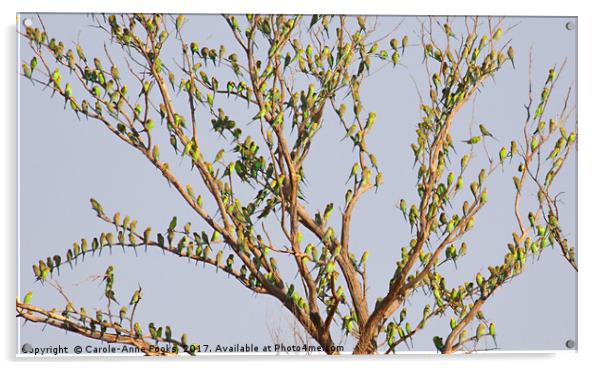 "Budgie Leaf Tree" Acrylic by Carole-Anne Fooks