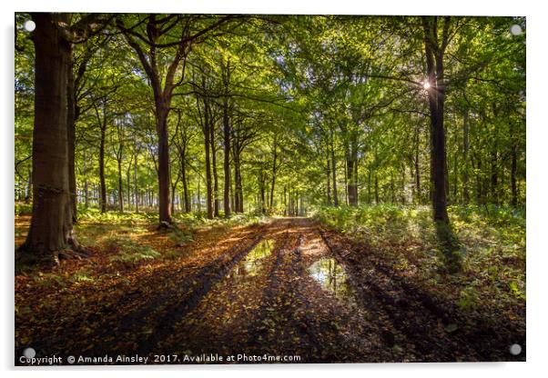 Autumn Woodland Walk Acrylic by AMANDA AINSLEY