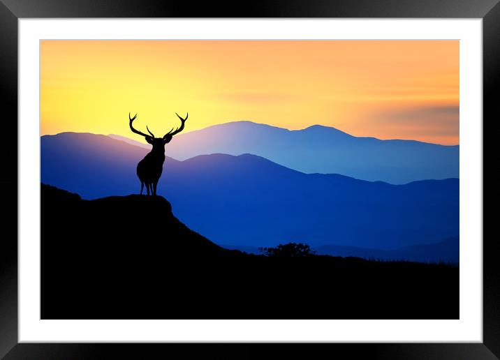 deer at sunset  Framed Mounted Print by Guido Parmiggiani
