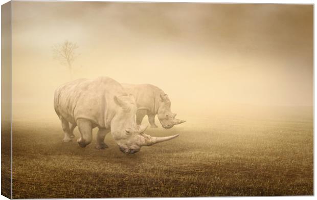 two rhinos grazing on a foggy morning Canvas Print by Guido Parmiggiani