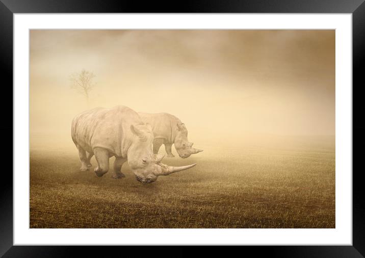 two rhinos grazing on a foggy morning Framed Mounted Print by Guido Parmiggiani
