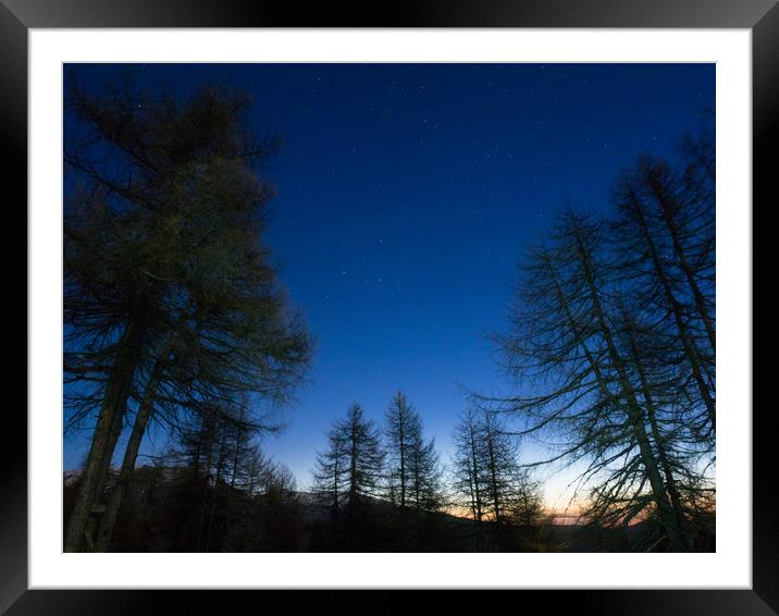 Stars rises over the pine trees on a morning foreg Framed Mounted Print by Mirko Macari