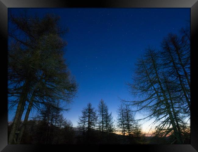 Stars rises over the pine trees on a morning foreg Framed Print by Mirko Macari