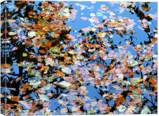 Leaves in the river Canvas Print by Elizabeth Chisholm