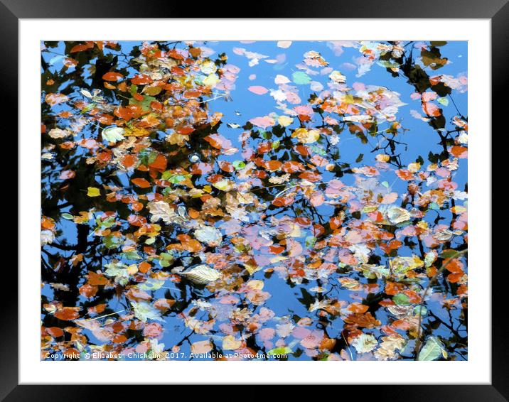 Leaves in the river Framed Mounted Print by Elizabeth Chisholm