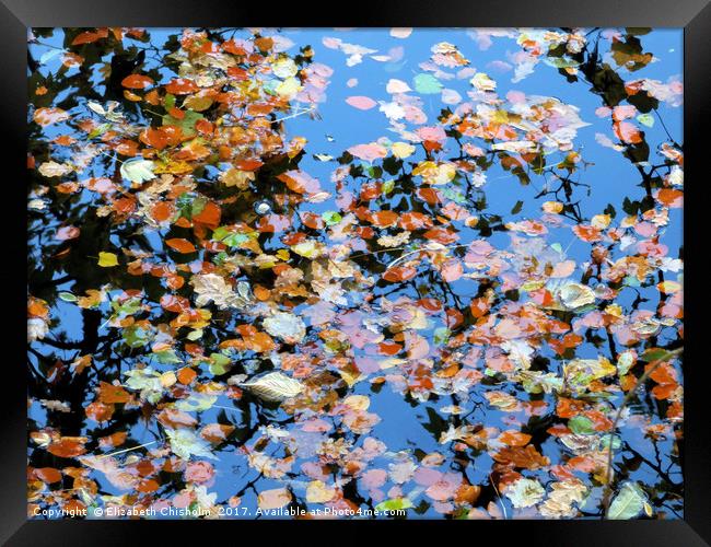 Leaves in the river Framed Print by Elizabeth Chisholm